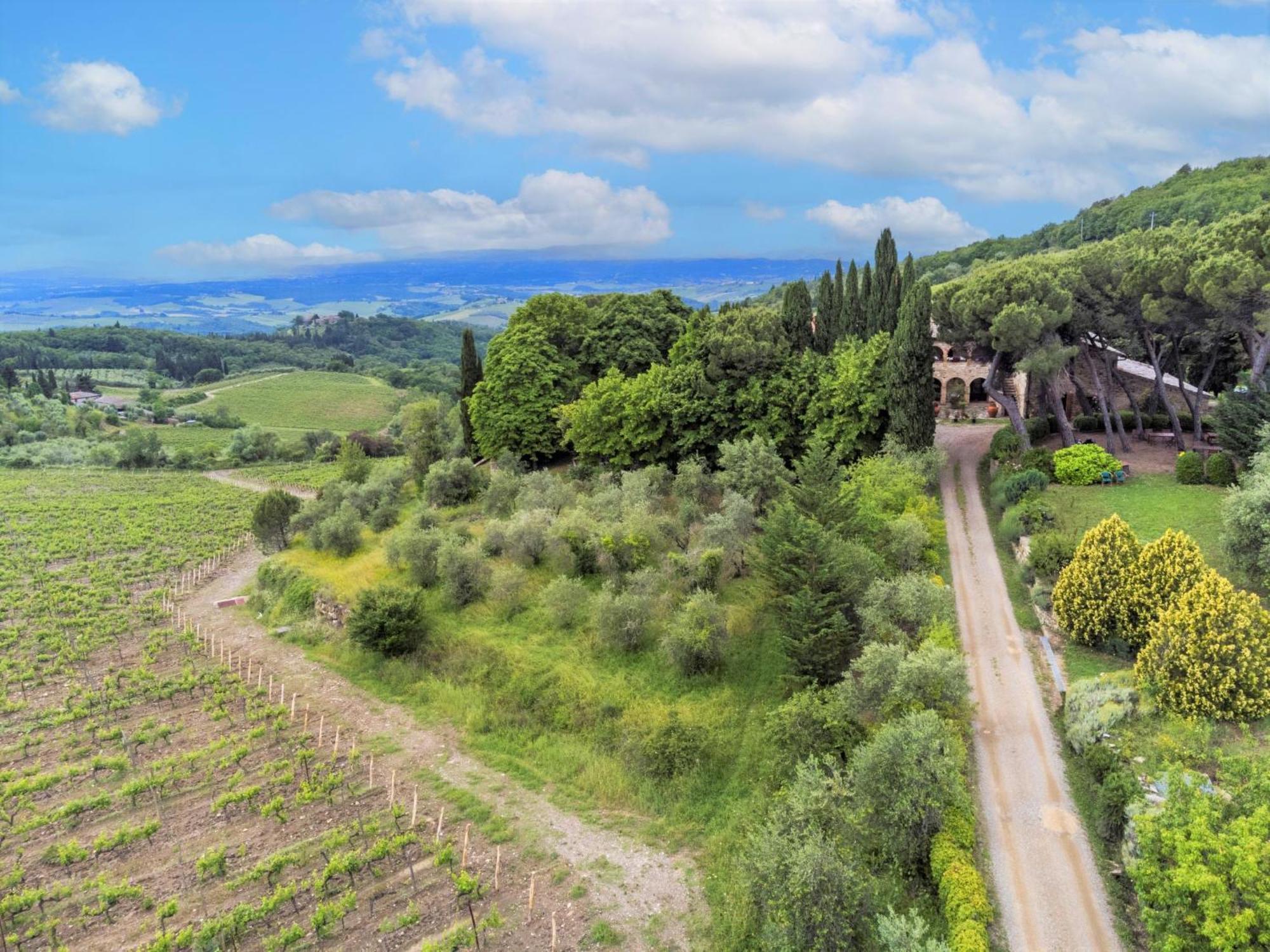 Appartamento Locazione Turistica Cellole - Torretta - CTC153 Castellina in Chianti Esterno foto